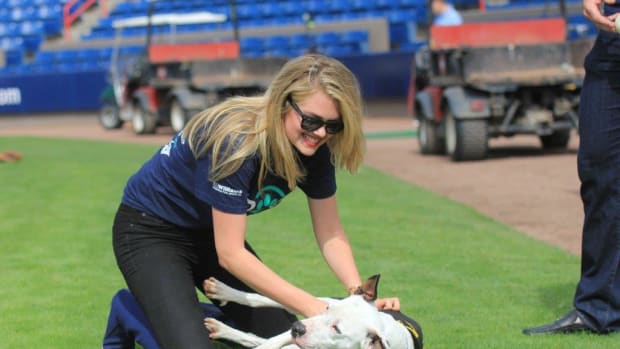 kate upton puppies baseball tigers nationals